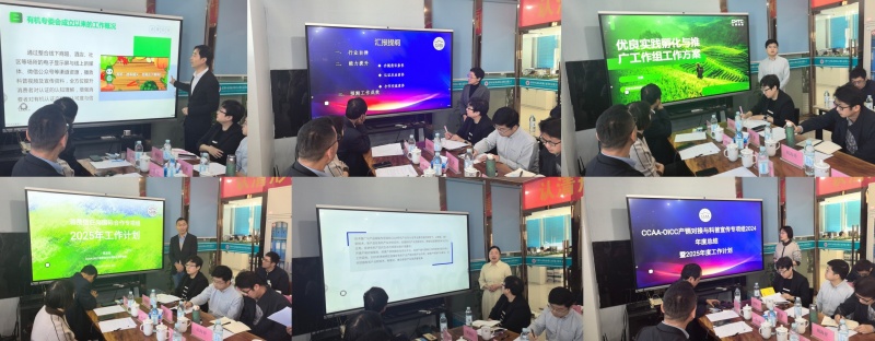 1736316818120741eaeO.jpg 2_副本.jpg