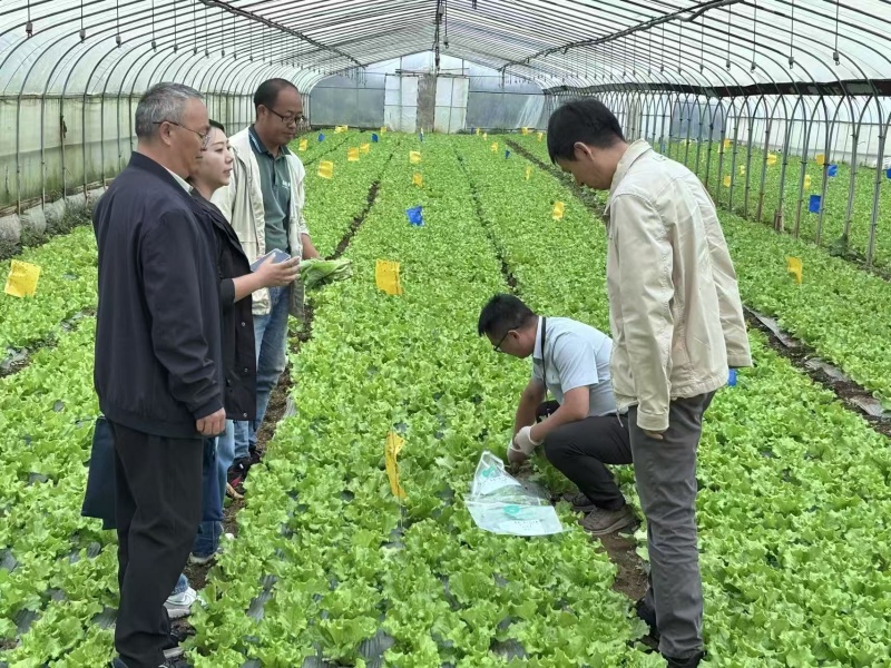 1762390126657169Msln.jpg 图片1.jpg