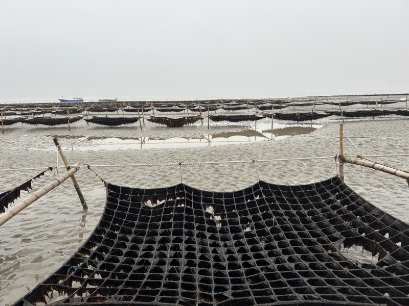 1765181902541064NwVX.jpg 图片1_副本.jpg