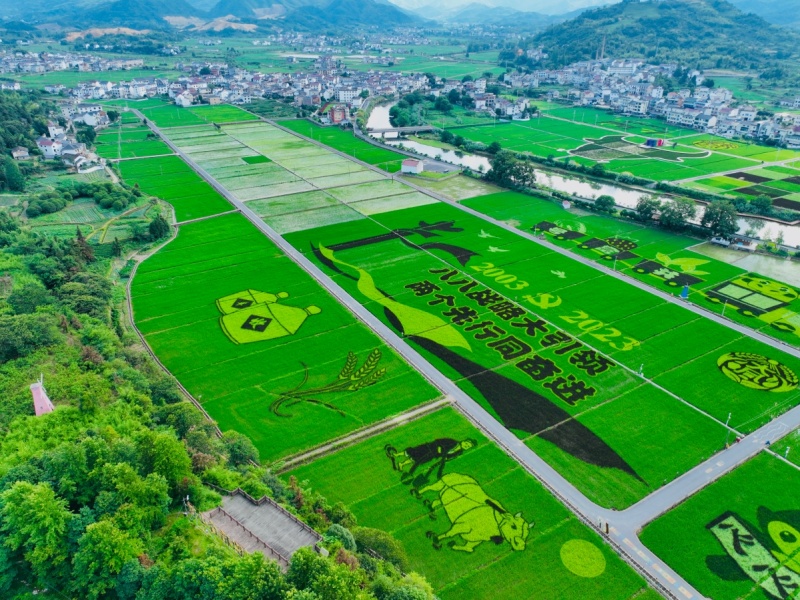 1768353527832981UdwJ.jpg 图片1.jpg