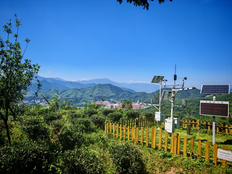 1769161080372424KobQ.jpg IMG_20250915_103439.jpg