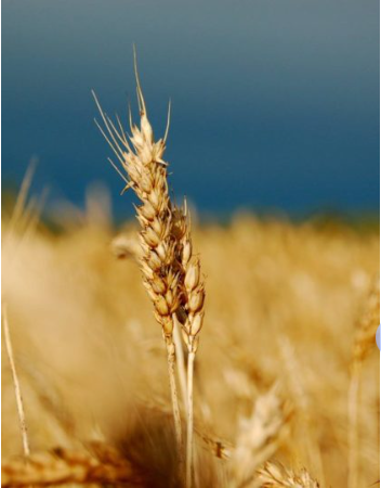 b4df72bb-cec2-4bdd-b3e2-ff0108d2c748.png