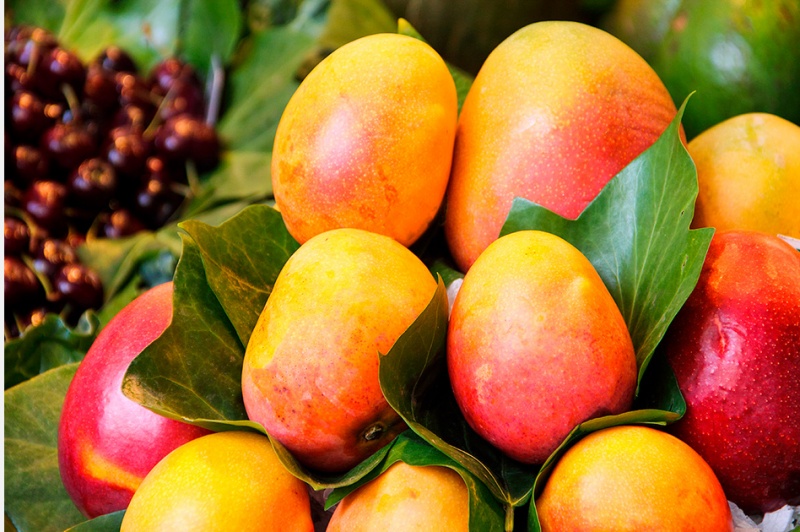 1785312832999175bU0k.jpg Mango_FP_img_0124.jpg