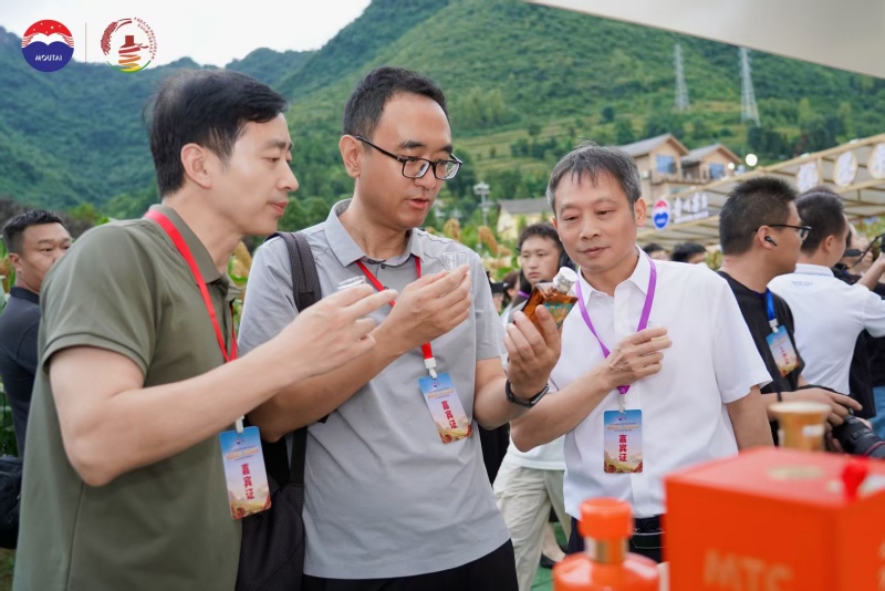 图片2_副本.jpg